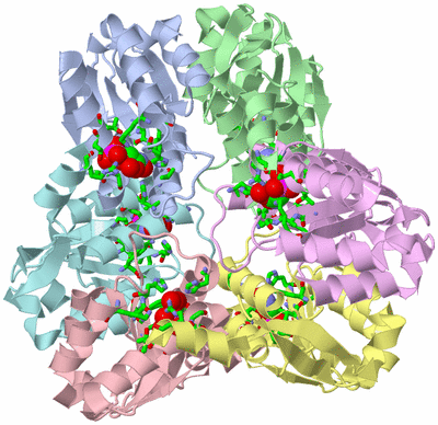 Image Asym./Biol. Unit - sites