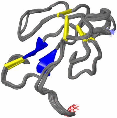 Image NMR Structure - all models