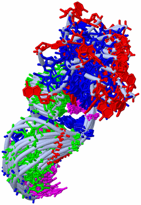 Image NMR Structure - all models