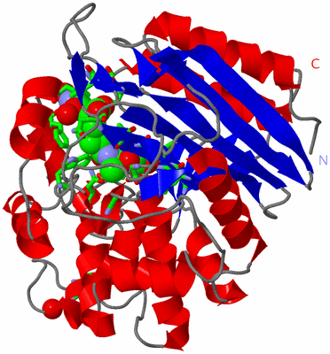 Image Asym./Biol. Unit - sites