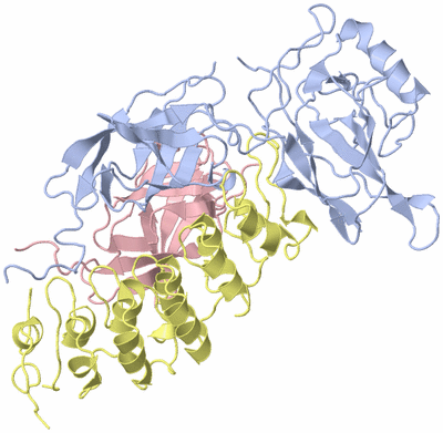 Image Asym./Biol. Unit