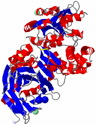 Image Asym./Biol. Unit