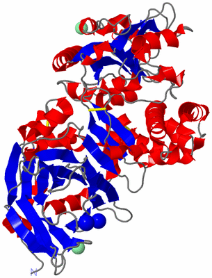 Image Asym./Biol. Unit