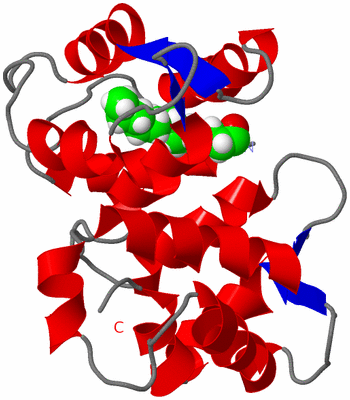 Image NMR Structure - model 1