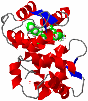 Image NMR Structure - model 1, sites