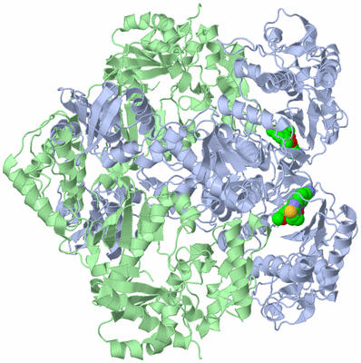 Image Biological Unit 2