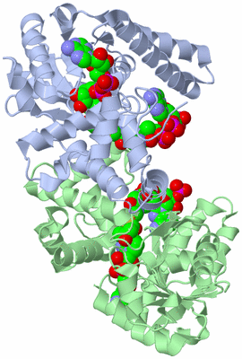 Image Asym./Biol. Unit