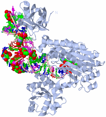 Image Biological Unit 1