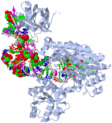 Image Biol. Unit 1 - sites