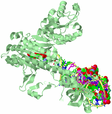 Image Biological Unit 2