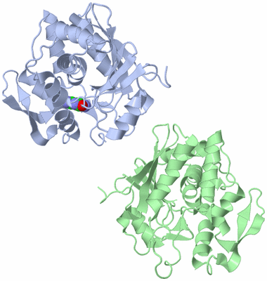 Image Asymmetric Unit