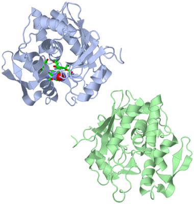 Image Asym. Unit - sites