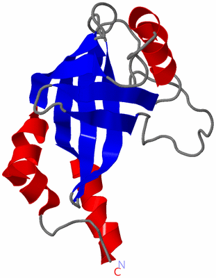 Image NMR Structure - model 1