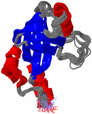 Image NMR Structure - all models