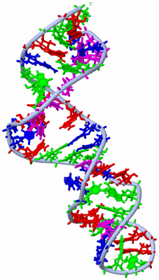 Image Theoretical Model