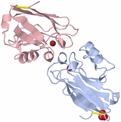 Image Biological Unit 1