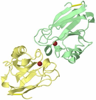 Image Biological Unit 2