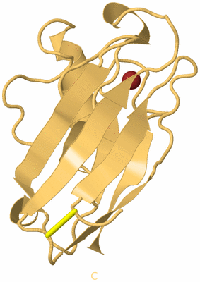 Image Biological Unit 7