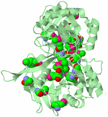 Image Biological Unit 2