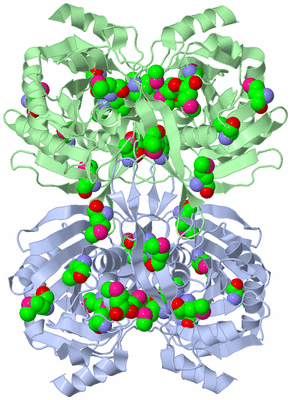 Image Biological Unit 3