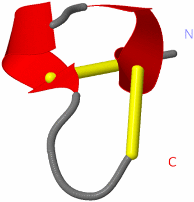 Image NMR Structure - model 1