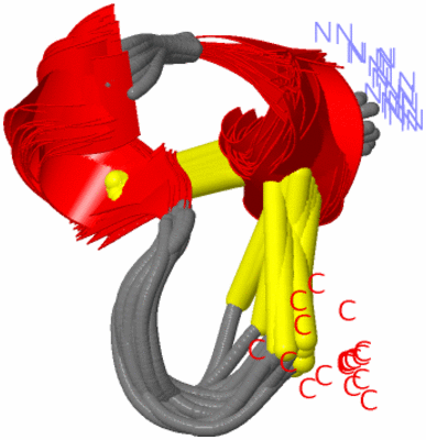 Image NMR Structure - all models