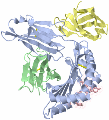 Image Biological Unit 1