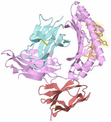 Image Biological Unit 2