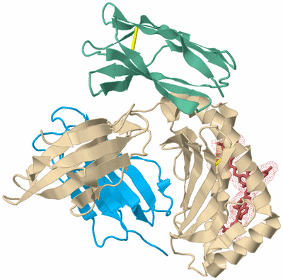 Image Biological Unit 3