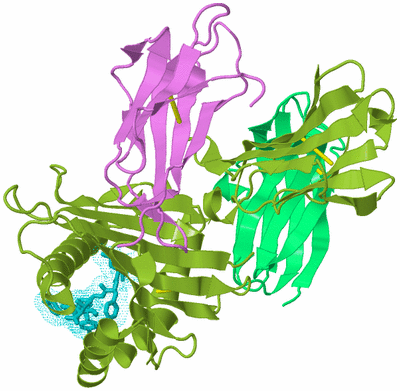 Image Biological Unit 4