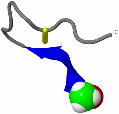 Image NMR Structure - model 1