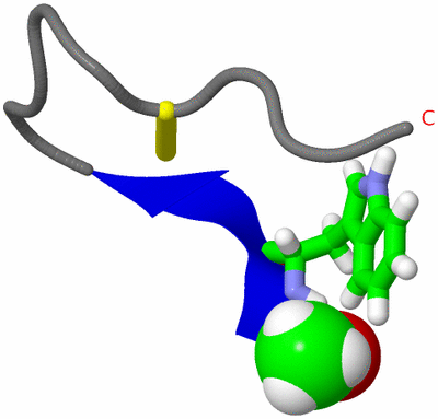 Image NMR Structure - model 1, sites