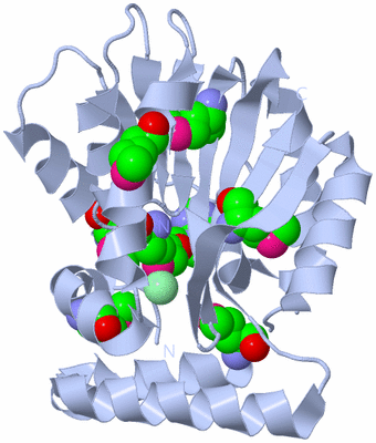 Image Biological Unit 1