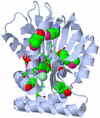 Image Biol. Unit 1 - sites