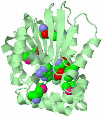 Image Biological Unit 2