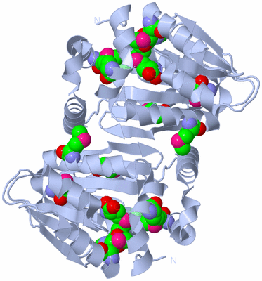 Image Biological Unit 3