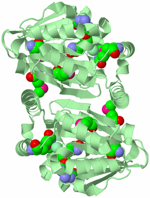 Image Biological Unit 4