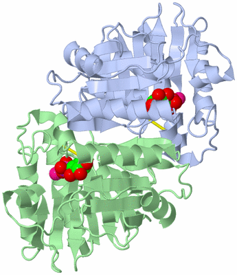 Image Asym./Biol. Unit