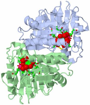 Image Asym./Biol. Unit - sites