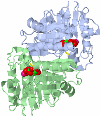 Image Asym./Biol. Unit