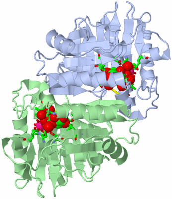 Image Asym./Biol. Unit - sites