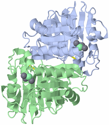 Image Asym./Biol. Unit