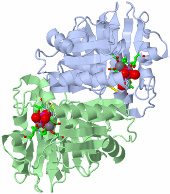 Image Asym./Biol. Unit - sites