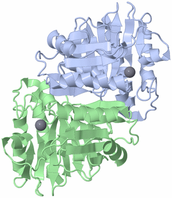 Image Asym./Biol. Unit