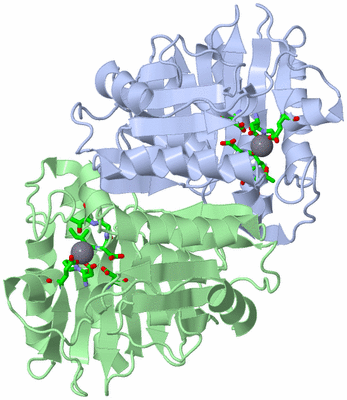 Image Asym./Biol. Unit - sites