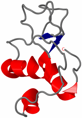 Image NMR Structure - model 1