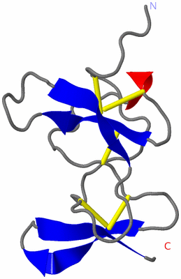 Image NMR Structure - model 1