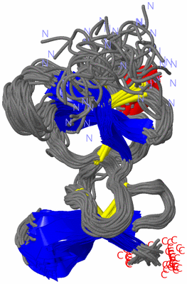 Image NMR Structure - all models