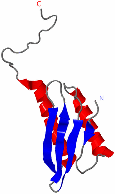 Image NMR Structure - model 1