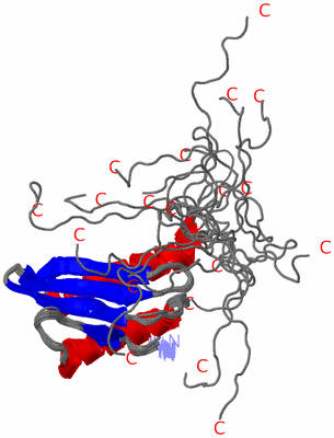 Image NMR Structure - all models